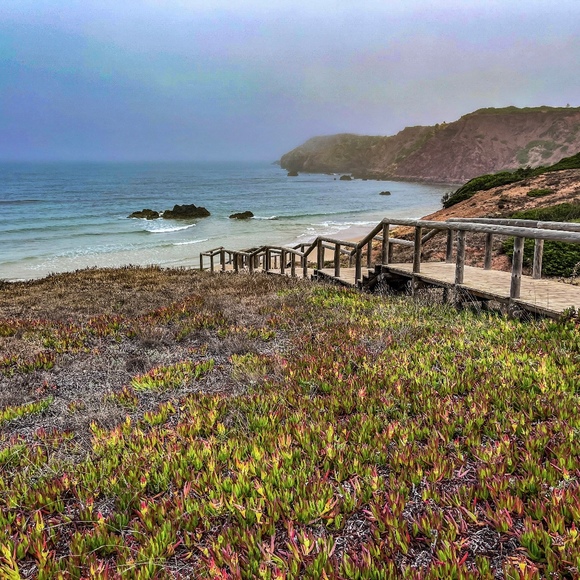 Meet your Posher, Magdalena - Picture 1 of 1